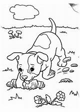Welpen Malvorlage Jurassic Animaux Animal Digging Netart Klo Malvorlagen Drucken Chihuahua Pup Impressionnant Malvorlagan Tocolor sketch template
