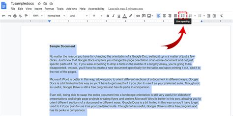 google docs   double spaced      double