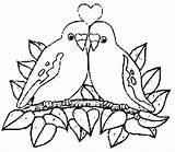 Lovebirds Birds Coloring Bird Drawing Pages Getdrawings sketch template