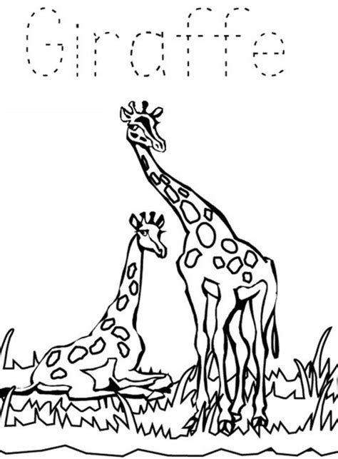 zoo animals kids coloring pages   colouring pictures  print