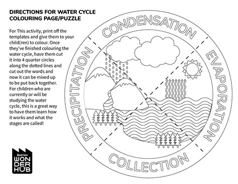 steps water cycle coloring page coloring pages