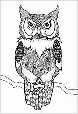 Hibou Hiboux Gufi Gufo Adulti Buhos Erwachsene Adultos Eulen Owls Colorier Malbuch Coloriages Eule Justcolor Reales Scaricare Tiere Malvorlage Reale sketch template