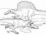 Spinosaurus Coloring Pages Vs Color Printable Realistic Dinosaur Within Year Avancna Rugops Bw Jurassic Deviantart Wonderful Birijus Park Dinosaurs Coloringfolder sketch template
