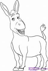 Shrek Donkey Burro Dragoart sketch template