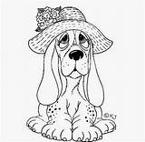 Hound Basset Droopy Dogbreedersguide sketch template
