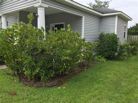 wilmington lawn care landscaping