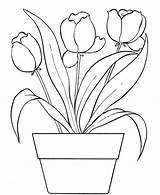 Coloring Tulip Pages Printable Craft sketch template