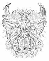 Phoenix Tattoo Drawing Outline Designs Rising Bird Ashes Drawings Tattoos Pheonix Birds Phönix Sleeve Getdrawings Men Arm Paintingvalley Book Choose sketch template