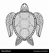Coloring Turtle Pages Adult Sea Drawn Hand Vector Adults Vectorstock sketch template