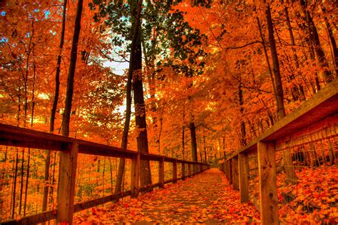 cool fall backgrounds  images