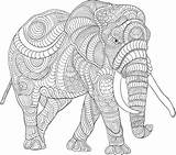 Colouring Coloring Pages Animal Elephant Cool Adults Choose Board Book Patchwork sketch template