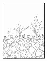 Coloring Pages Seeds Earth Sprouting Plants Good Environmental Talking Write Message Sky Too Own Children Would sketch template