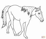 Horse Coloring Pages Tennessee Quarter Horses Palomino Color Print Girls Jumping Walking Printable Easy Friesian Running Vols Drawing Draft Getcolorings sketch template
