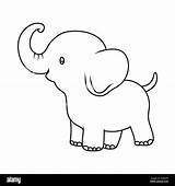 Elefant Elephant Umriss Alamy Styl Niedliche Leere Isolierte Kontur sketch template