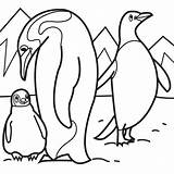 Coloring Penguin Emperor Pages Kids sketch template