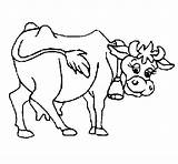 Vaca Lechera Mucca Vache Vacas Lecheras Animadas Granja Colorier Acolore Dibuix Stampare Animali Desenhar Infantiles sketch template