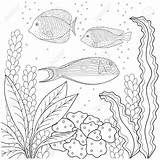 Colorare Alghe Bambini Bianco Algas Seaweed Bolle Modello Adultos sketch template