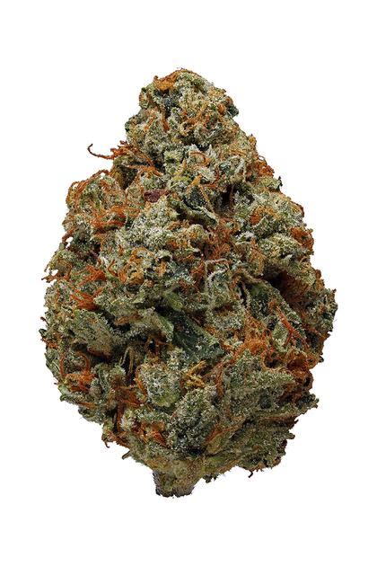 og kush hybrid cannabis strain review thc terpenes hytiva