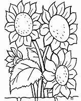 Sunflower Coloring Pages Kids Printable Color Sunflowers Flower Sheet Sheets Colouring Flowers Coloriage Zonnebloem Book sketch template