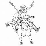 Bull Coloring Pages Bucking Rodeo Drawing Riding Pbr Printable Bulls Print Leather Color Sheets Book Rider Kids Horse Cowboy Template sketch template