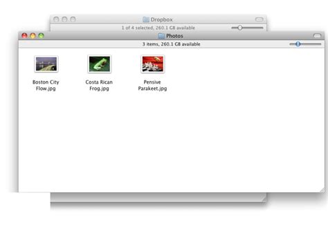 dropbox   mac   latest version