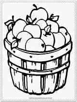 Coloring Apple Pages Printable Fruit Preschoolers Print Kids Basket sketch template