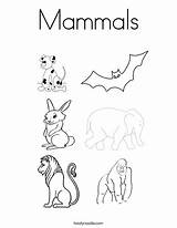 Mammals Coloring Animals Pages Print Mammal Nocturnal Color Names Reptiles Red Twistynoodle Blue Ll Noodle Twisty sketch template
