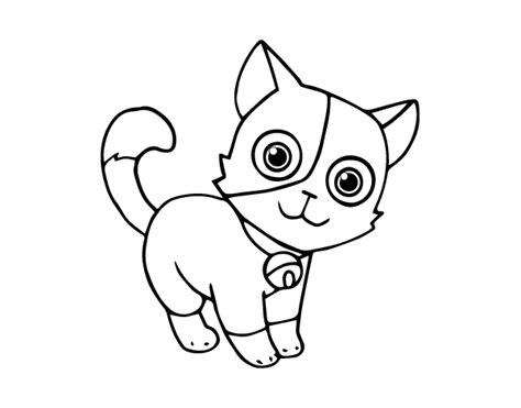 domestic cat coloring page coloringcrewcom