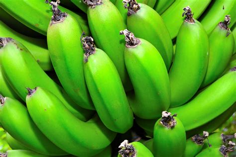 gruene bananen foto bild pflanzen pilze flechten fruechte und