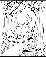 Elk Coloring Pages Color Printable Animal Animals Print 04kb Town Sheet Choose Board sketch template