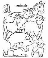 Farm Animal Coloring Preschool Pages Animals Getdrawings Color sketch template