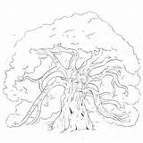 Tree Oak Coloring Forest Pages Trees Guard Color Getcolorings Printable Family Getdrawings Colorings sketch template