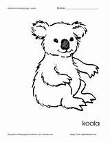 Koala Worksheet Preschool Coloring Lesson Reviewed Curated sketch template