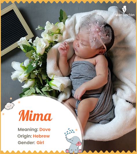 mima  meaning origin history  popularity