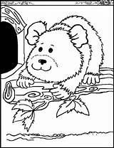 Chinchilla Coloring Pages Color Animal sketch template