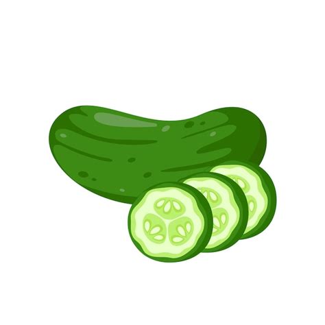 premium vector green cucumber ingredients  cooking