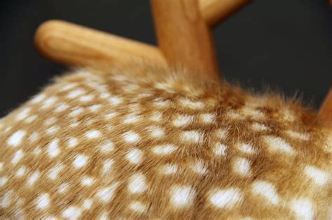pin de quvvö taller de mosaico en diseño sillas disenos