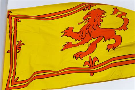 rampant lion rampant flag flying   building site  da flickr