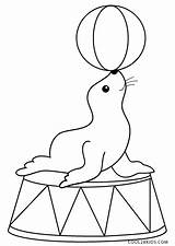 Circus Coloring Pages Seal Printable Kids sketch template