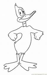 Daffy Coloringhome sketch template