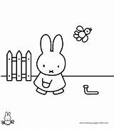 Miffy Coloring Pages Cartoon Color Character Printable Kids Sheets Comments Back Characters sketch template