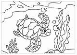 Coloring Pages Turtles Kids Funny Color Print Printable Children Justcolor sketch template