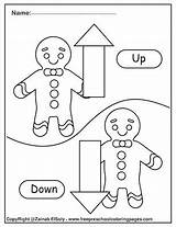 Kids Opposites Gingerbread Man Worksheets Nursery Worksheet Preschool Coloring Choose Board sketch template