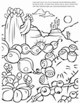 Coloring Asu Desert Pages Askabiologist Fruits Biologist Ask Sparky Worksheet Worksheets Template sketch template