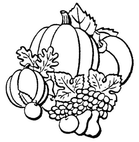 autumn season fruit coloring page color luna