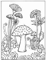 Mushroom Mushrooms Colouring Indie Trippy Fungi sketch template