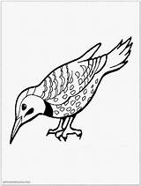 Bird Coloring Pages Realistic Device Computer Folder Storage Another sketch template