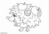 Coloring Printable Hedgehogs Kids Hedgehog Activity Create Worksheets Pages Autumn Own sketch template