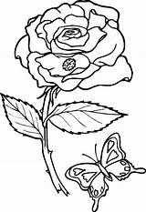 Coloring Pages Printable Adult Roses Rose Adults Heart Popular sketch template