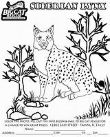 Lynx Coloring Pages Kids Siberian Canada Coloringbay Getcolorings Animals Popular sketch template